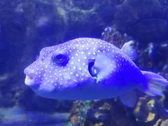 -太平洋海底世界