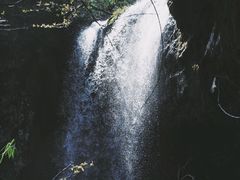 -龙苍沟森林公园