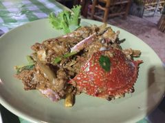 -Jungle Kitchen