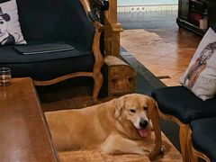 -火车头法国西餐厅