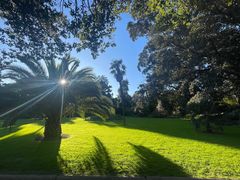 -墨尔本皇家植物园