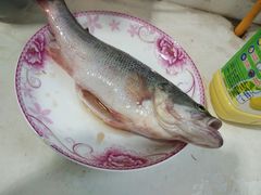 -西北农副产品中心批发市场(广安路店)