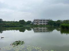 -古塔公园
