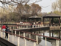 -同里国家湿地公园