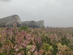 -中国天府农业博览园