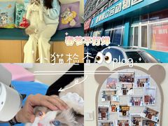 -美联众合动物医院·24h京西诊疗中心