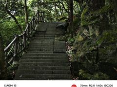 -银瓶山森林公园(谢岗镇)