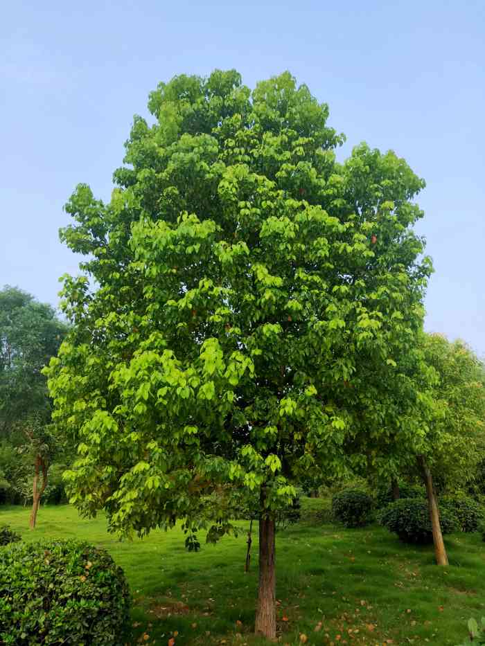 竹之林-"竹之林公园位于郑州市金水区商务外环路与商.