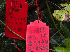 -绿茶餐厅(龙井船宴· 品牌总店)