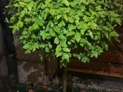 -香山湖渔家大院