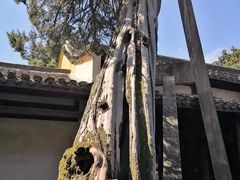 -太平天国侍王府