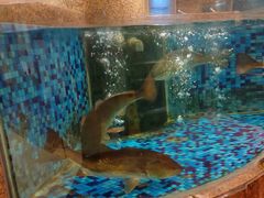 -顺峰海鲜酒楼(省府店)