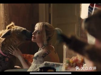Harley Quinn 开启DC新篇章