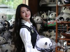 -轩客会(熊猫书店)