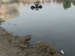 -洋湖国家湿地公园