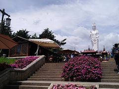 -南诏风情岛