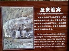 -武隆天坑地缝国家地质公园