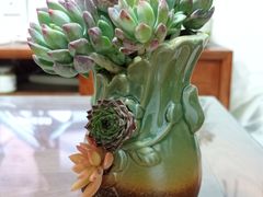 -禅韵琴社 古琴茶道香道插花培训(西华门店)