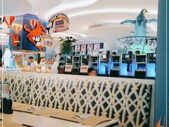 -帝企鹅自助餐厅•儿童岛•真企鹅(长隆企鹅酒店)