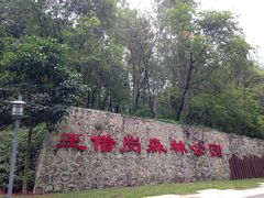 -王借岗森林公园
