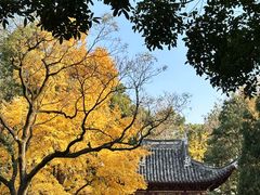 -汇龙潭