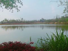 -白鹭湾湿地公园