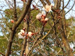 -柳鹭田园区