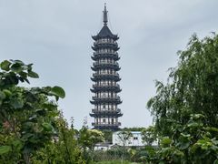 -奉贤海滩
