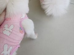 -怪兽屋·羊驼·猫咖·狗咖(俊华广场店)