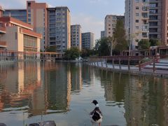 -梧桐人家中国太平国际健康颐养社区