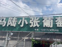 -马陆小张葡萄园农家乐