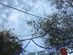 -猫咪博物馆(顶澳仔猫街店)