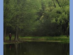 -上海共青森林公园