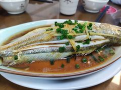 清蒸婉鱼-聂记粤菜馆(鼓西路店)