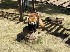 -泉州海丝野生动物世界