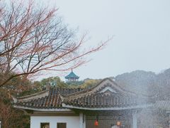 -无锡梅园公园