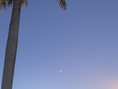 -红花山公园