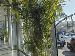 -天津波士信达奔驰4S店(卫津南路店)