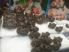 -丰卓会海鲜自助(中润大道店)