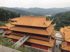 -东莞市大岭山森林公园