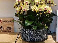 -逗烤·轻烧烤(福田店)