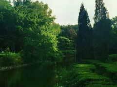 -长白岛森林公园