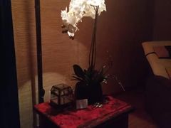 -Dragonfly悠庭·按摩Spa(新乐路店)