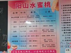 -老袁家蜜桃农场·阳山水蜜桃