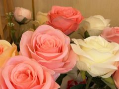-海底捞火锅(泰安爱琴海店)