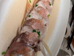 -胖大嫂渔家排档(半边山店)