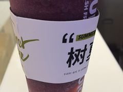 -树夏(成都招商大魔方店)