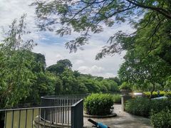 -怡海公园(桂城街道)