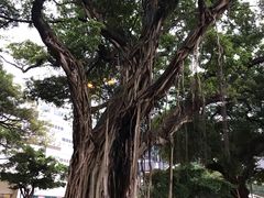 -利强记北角鸡蛋仔(弥敦道店 )