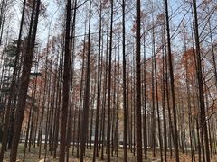 -河南省黄河迎宾馆